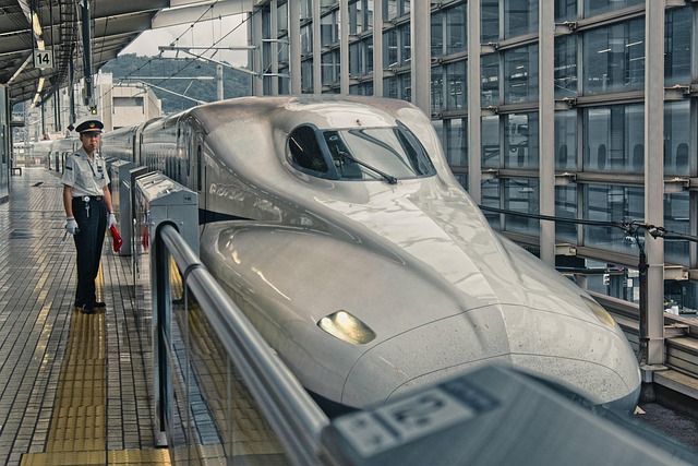 Affordable Hotels in Kyoto Near Train Station for Travelers