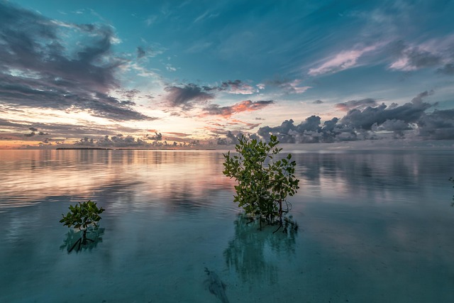 Baa Atoll Travel So still and sea-filled it barely feels real