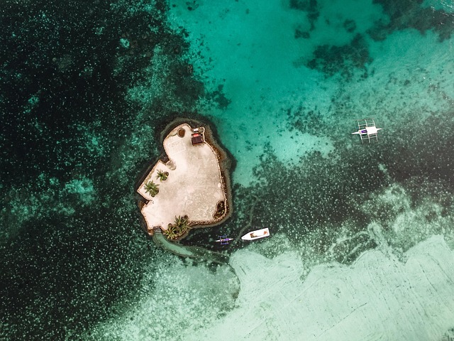 Bohol Hotels That carry island charm into a more refined register