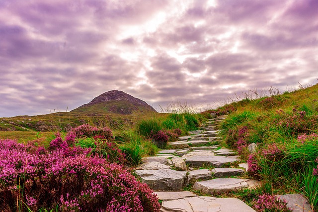 Connemara Resorts Full of stone, rainlight, and restorative distance