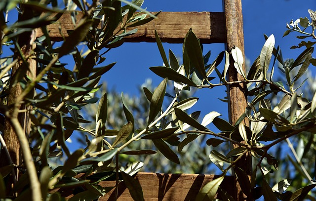 Crete Resorts Turning olive hills and blue coves into daily calm