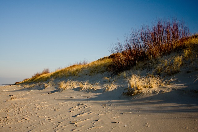 Curonian Resorts Built on dune silence and understated beauty