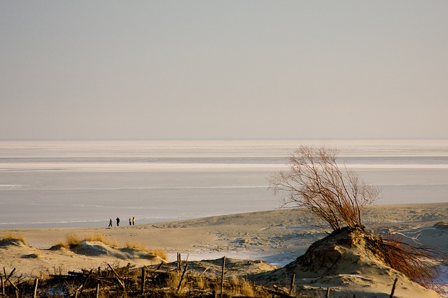Curonian Travel Along dunes, lagoons, and long meditative silences