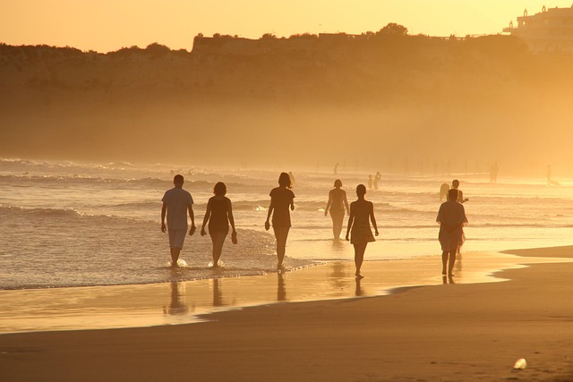 Diani Travel Built around white sand and warm Indian Ocean calm