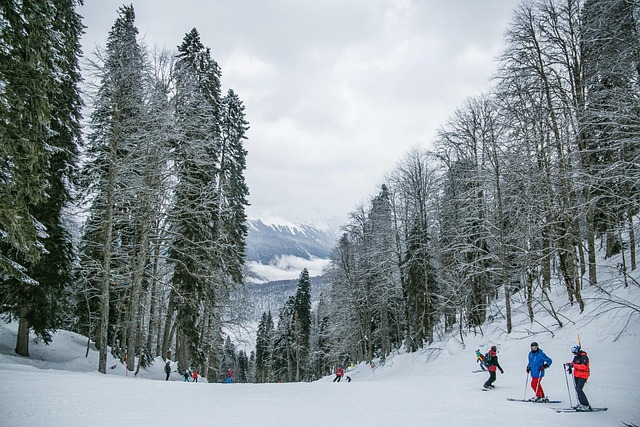 Family Resorts Near NYC With Outdoor Activities
