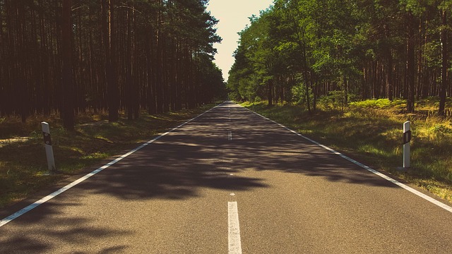 Gauja Travel Through forested hush and Latvian countryside softness