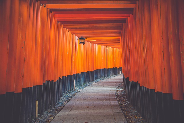 Hotels in Kyoto Near Fushimi Inari Shrine With Easy Access