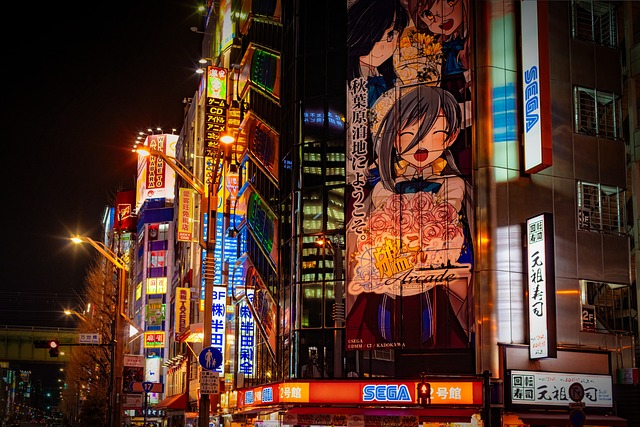 Hotels in Tokyo Near Akihabara for Anime and Tech Lovers