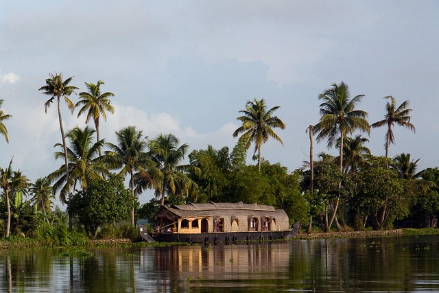 Kerala Backwater Resorts Where palms, water, and peace stay close