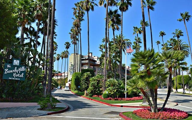 Luxury Villas in Los Angeles With Private Pool in Beverly Hills for Premium Stay