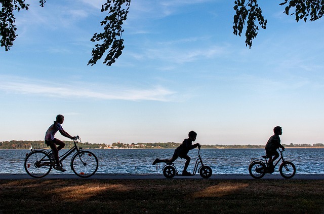 Miami Family Travel Guide With Activities