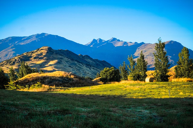 Queenstown Travel Driven by scenery so strong it resets the pace