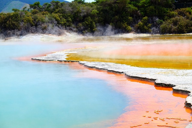 Rotorua Hotels Blending geothermal mood with warmly refined interiors