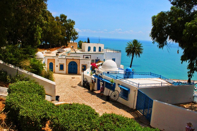 Sidi Bou Travel Full of white walls, blue details, and sunlit charm