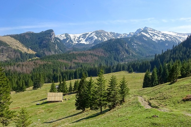 Tatra Resorts Fresh, scenic, and made for mountain-breath recovery