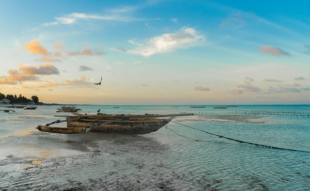 Zanzibar Travel Filled with spice, dhows, and sea-bright afternoons